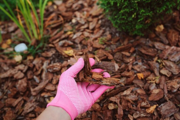 Things You Should Know About Wood Chip Mulch