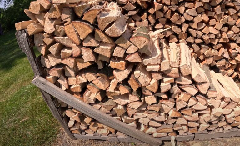 Firewood Is Pine Tree Good