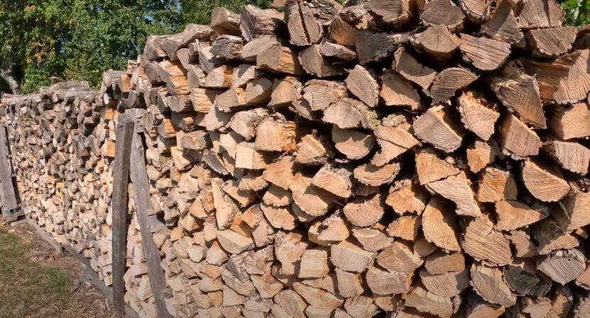 Pine Trees Good Firewood log
