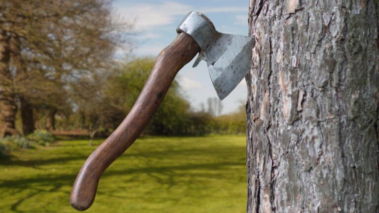 Axe in The Tree