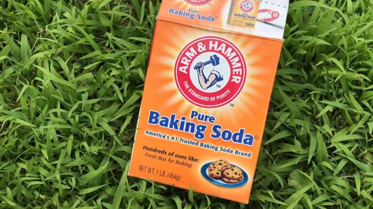 Discover natural lawn care methods and learn about baking soda effectiveness as a herbicide alternative for grass