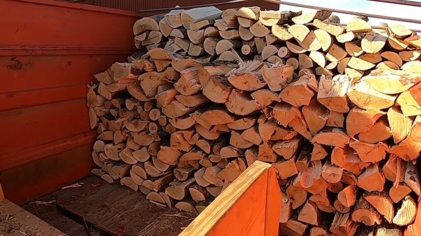 Firewood from sycamore trees