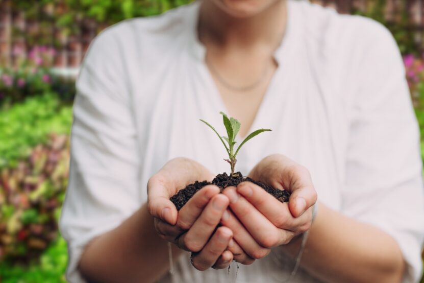 woman holding little plant in her hands