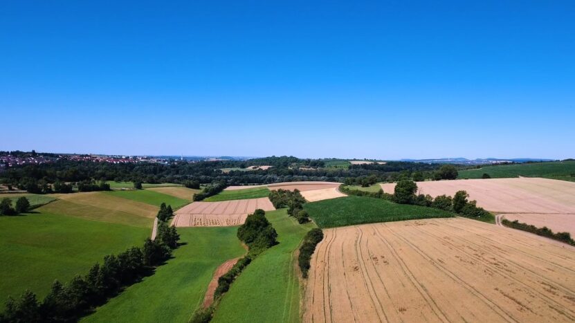 Farming and weather conditions