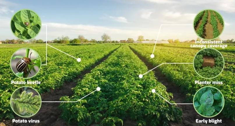 Types_Of_Remote_Sensing_in_Agriculture